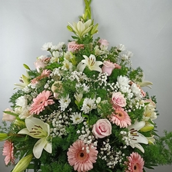 CENTRO Nº10 - Imagen 1