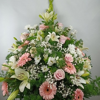 CENTRO Nº10 - Imagen 1