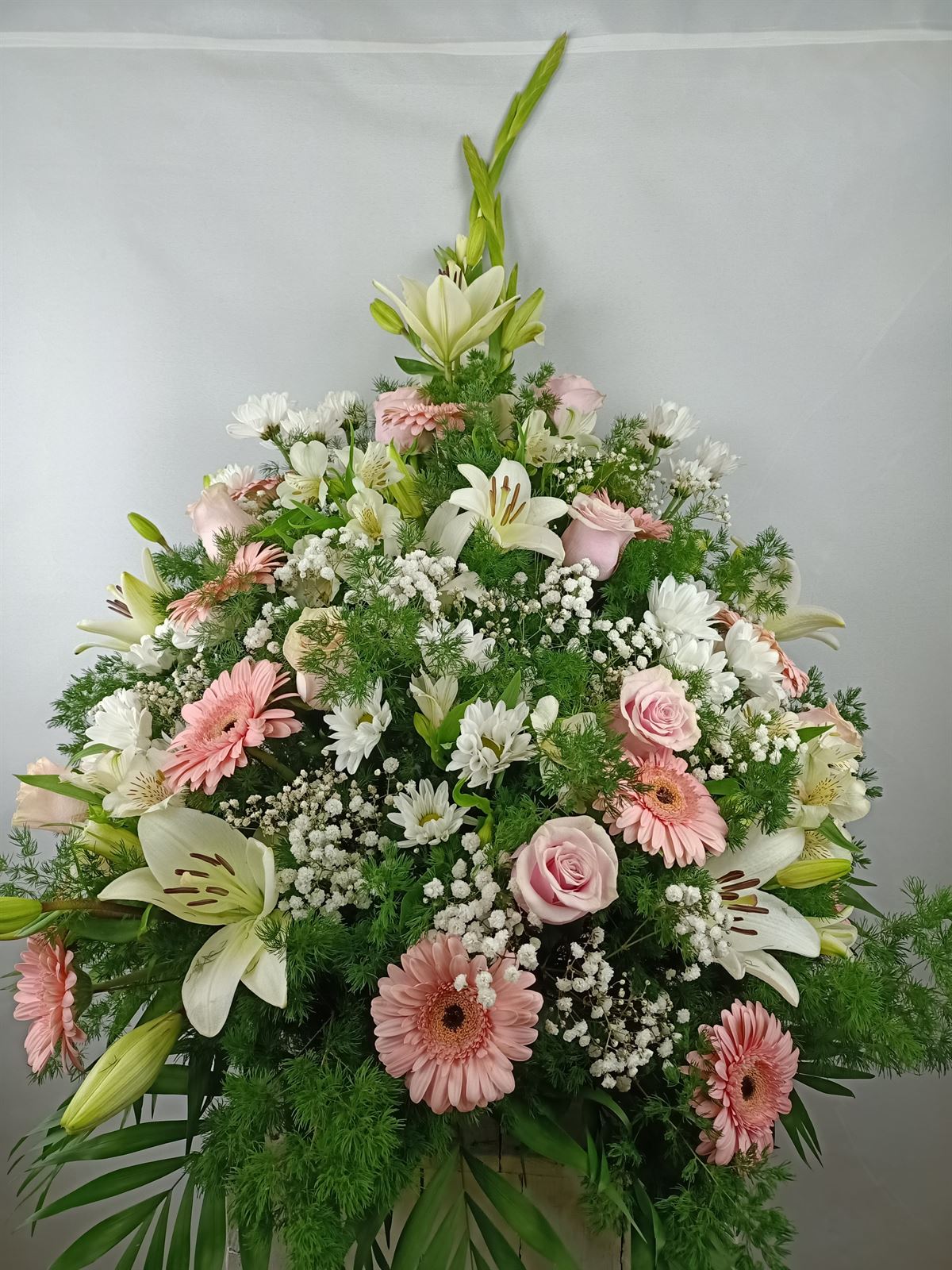 CENTRO Nº10 - Imagen 1