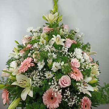 CENTRO Nº10 - Imagen 1