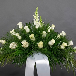 CENTRO Nº11 - Imagen 1