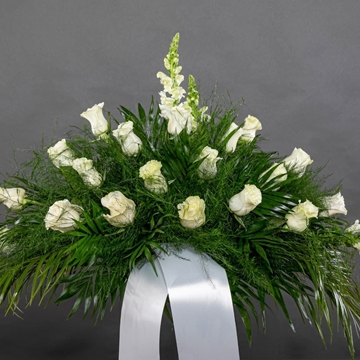 CENTRO Nº11 - Imagen 1