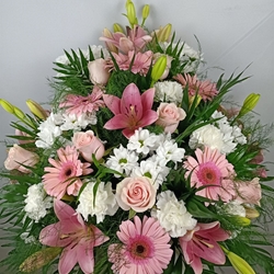 CENTRO Nº12 - Imagen 1