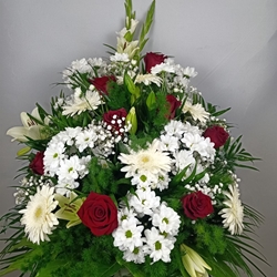 CENTRO Nº13 - Imagen 1