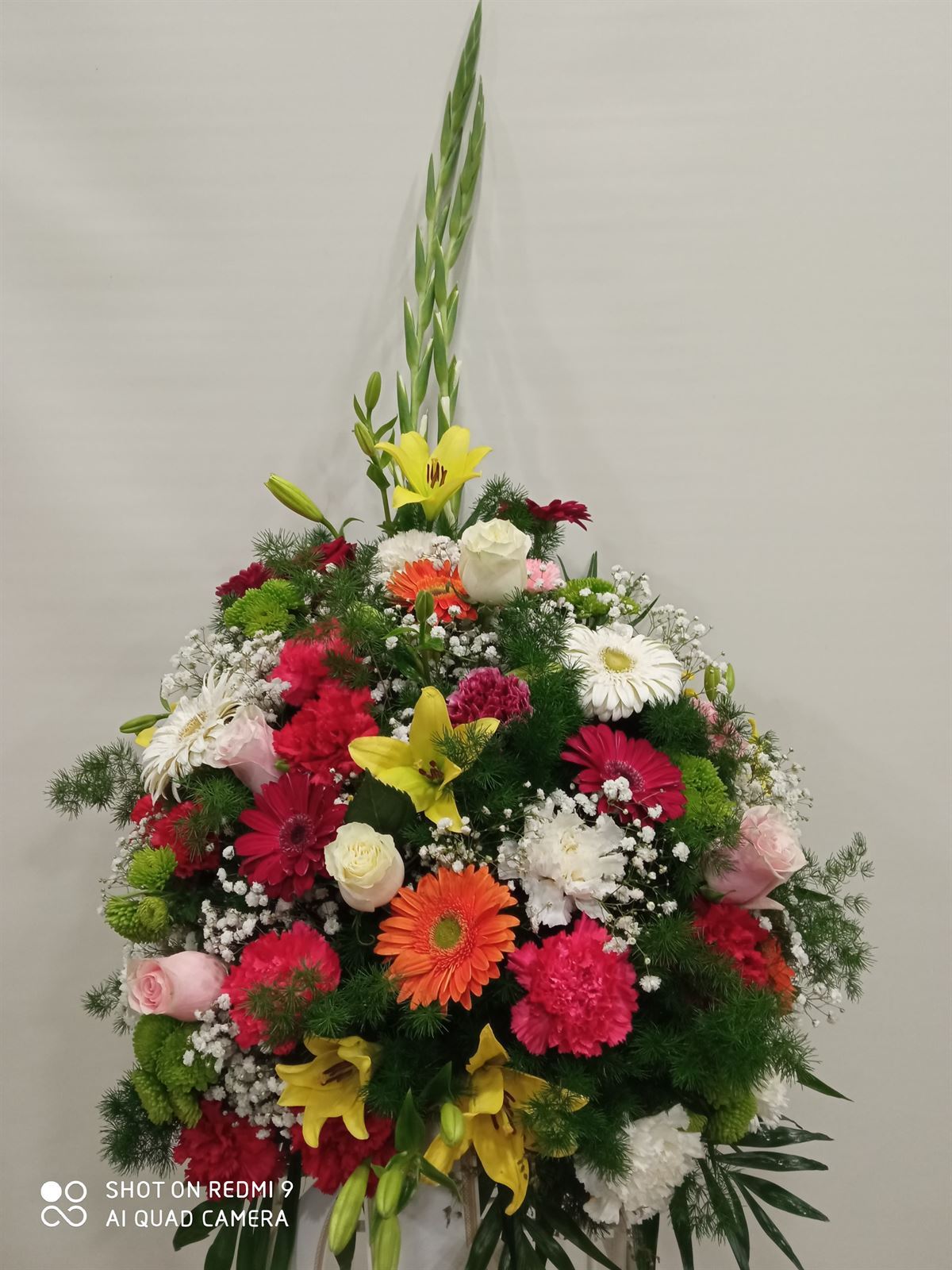 CENTRO Nº14 - Imagen 1