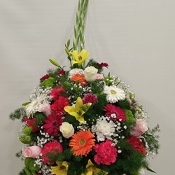 CENTRO Nº14 - Imagen 1