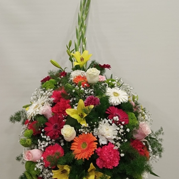 CENTRO Nº14 - Imagen 1