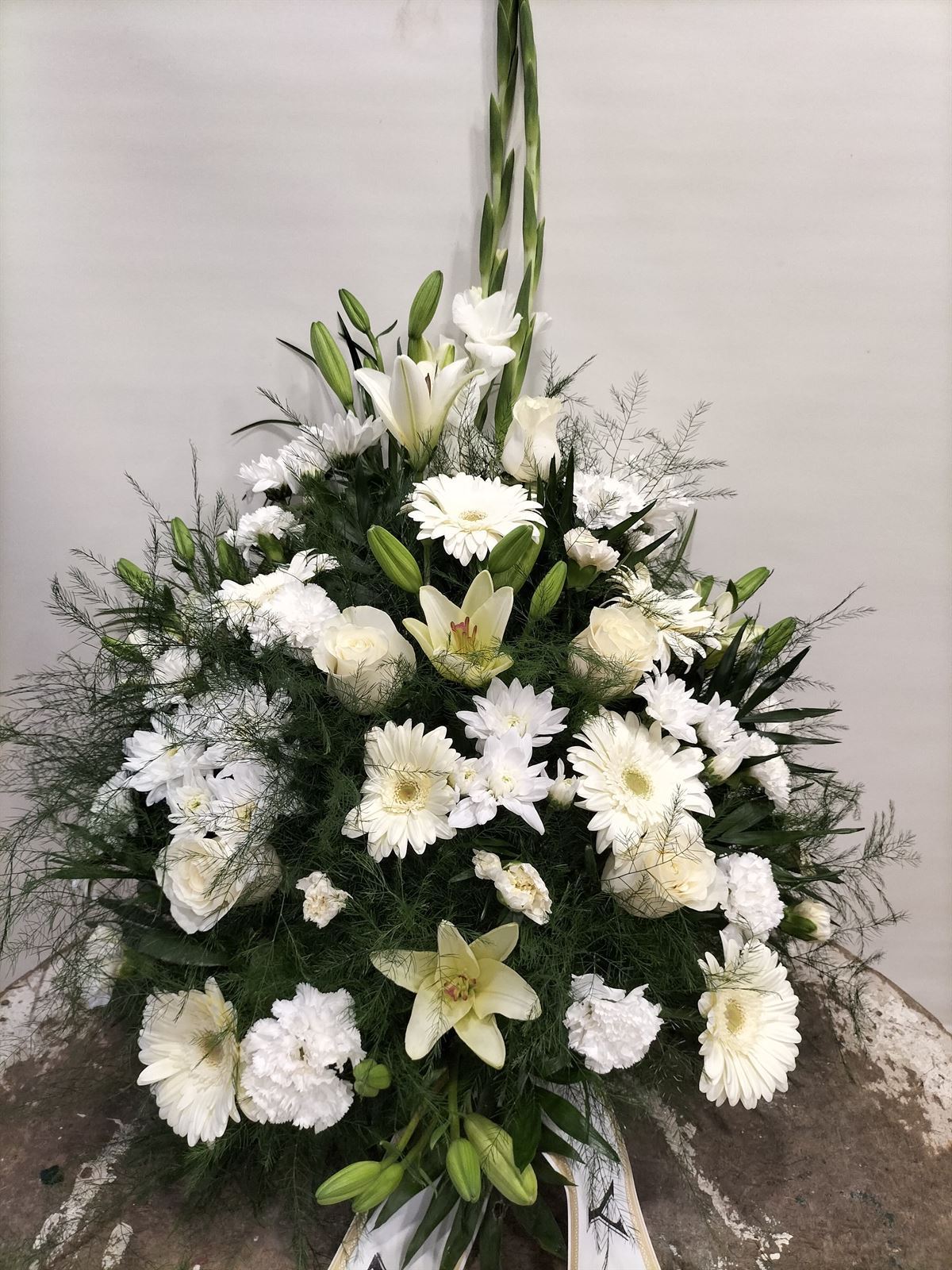 CENTRO Nº15 - Imagen 1