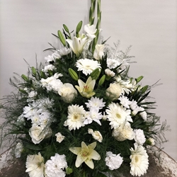 CENTRO Nº15 - Imagen 1