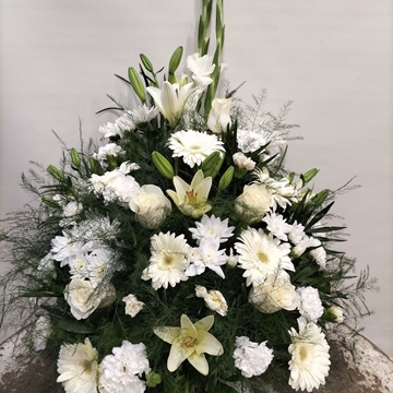 CENTRO Nº15 - Imagen 1