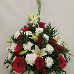 CENTRO Nº16 - Imagen 1