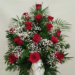 CENTRO Nº17 - Imagen 1