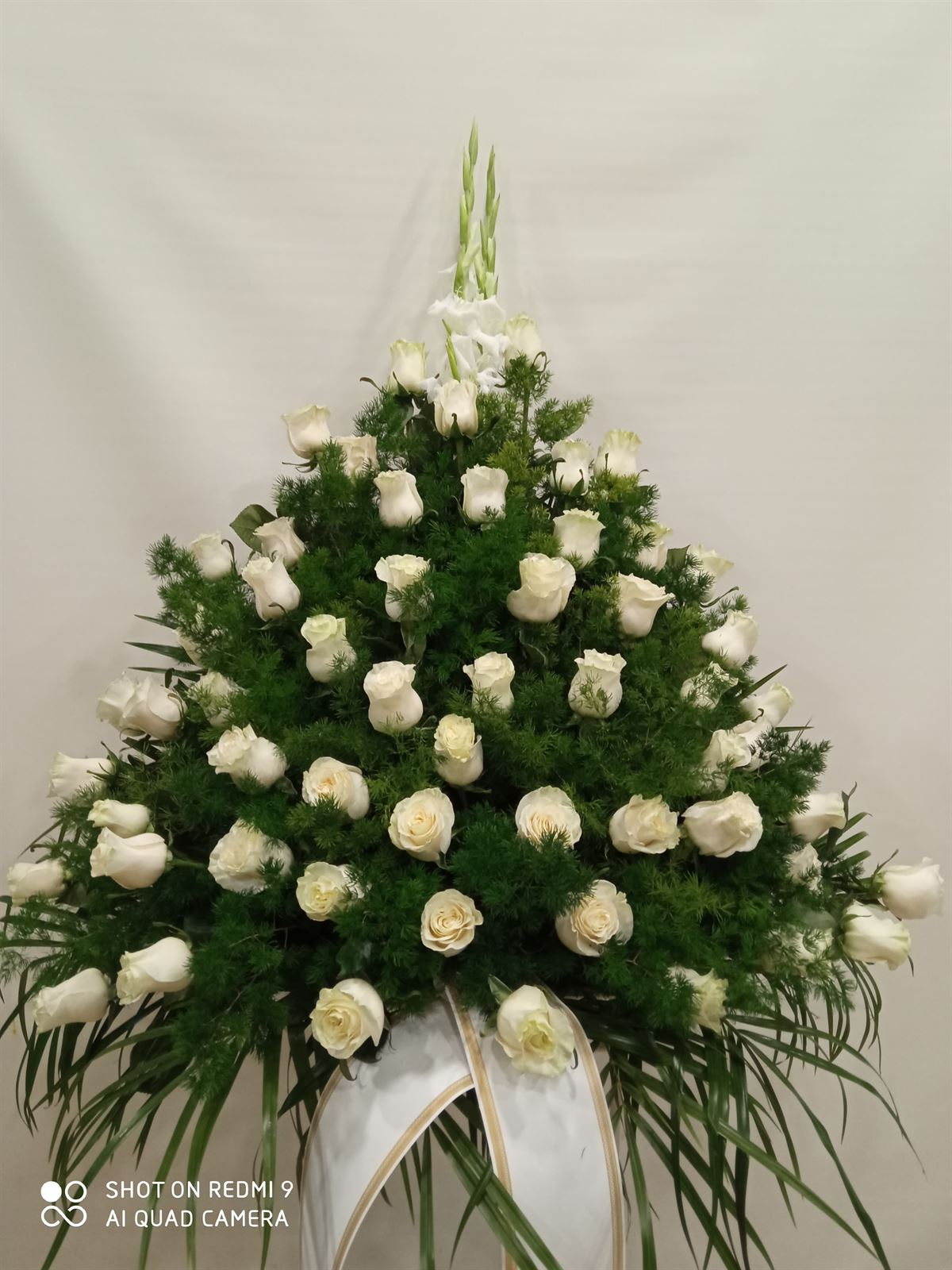 CENTRO Nº1 - Imagen 1