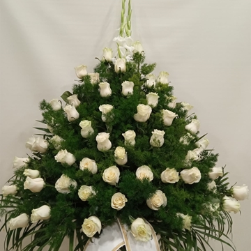 CENTRO Nº1 - Imagen 1