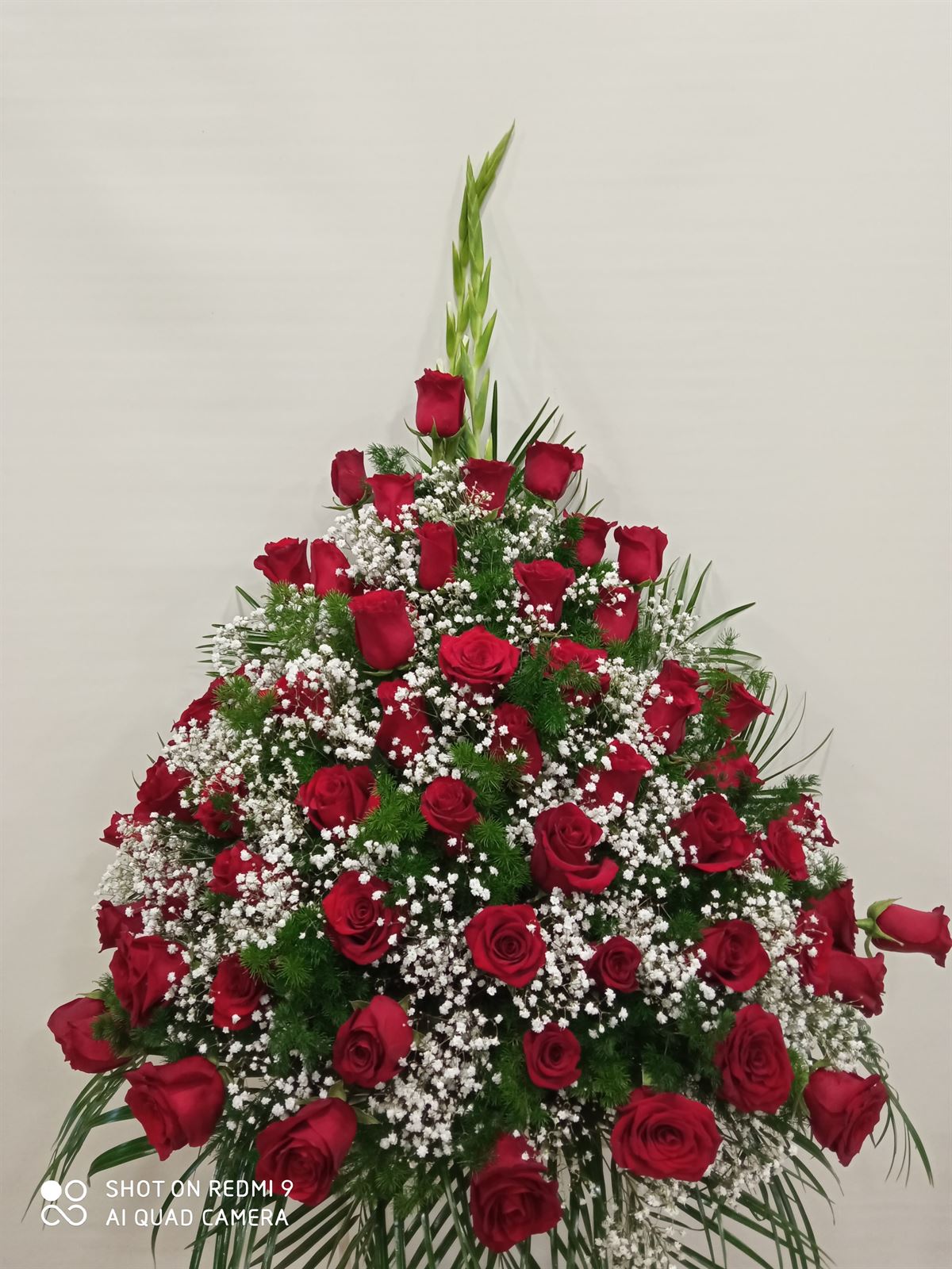 CENTRO Nº2 - Imagen 1