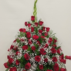 CENTRO Nº2 - Imagen 1