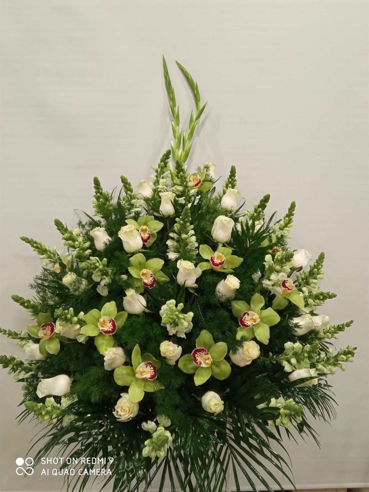 CENTRO Nº3 - Imagen 1