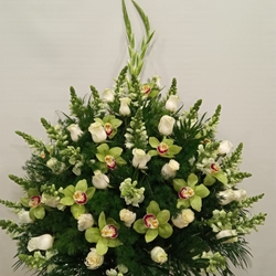 CENTRO Nº3 - Imagen 1