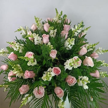 CENTRO Nº5 - Imagen 1