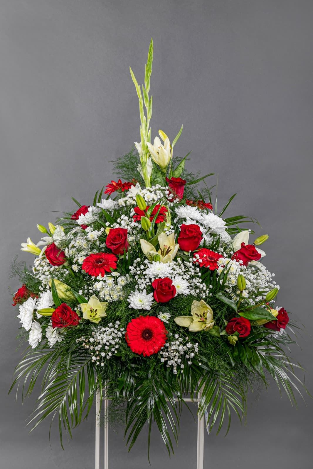 CENTRO Nº6 - Imagen 1