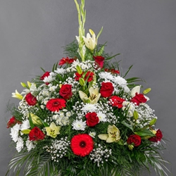 CENTRO Nº6 - Imagen 1