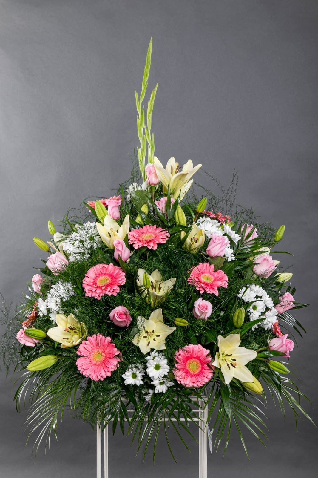 CENTRO Nº7 - Imagen 1