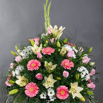 CENTRO Nº7 - Imagen 1