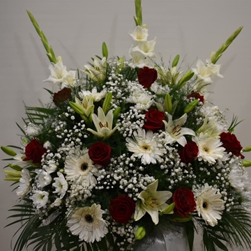 CENTRO Nº8 - Imagen 1