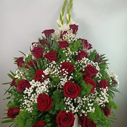 CENTRO Nº9 - Imagen 1