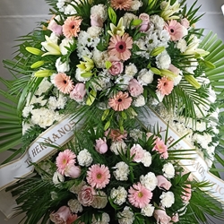 CORONA Nº10 - Imagen 1