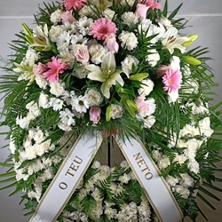 CORONA Nº15 - Imagen 1