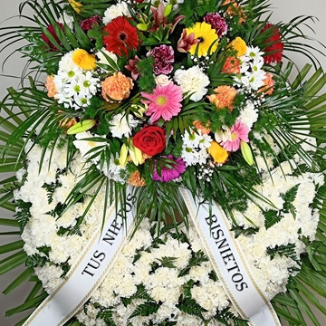 CORONA Nº16 - Imagen 1