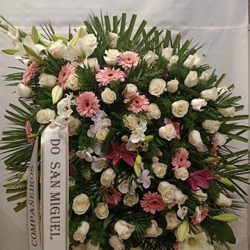 CORONA Nº3 - Imagen 1