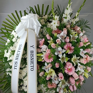 CORONA Nº6 - Imagen 1