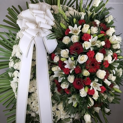 CORONA Nº7 - Imagen 1