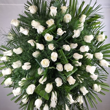 CORONA Nº8 - Imagen 1