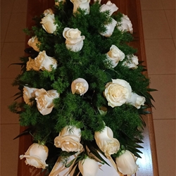 RAMO CAJA Nº2 - Imagen 1