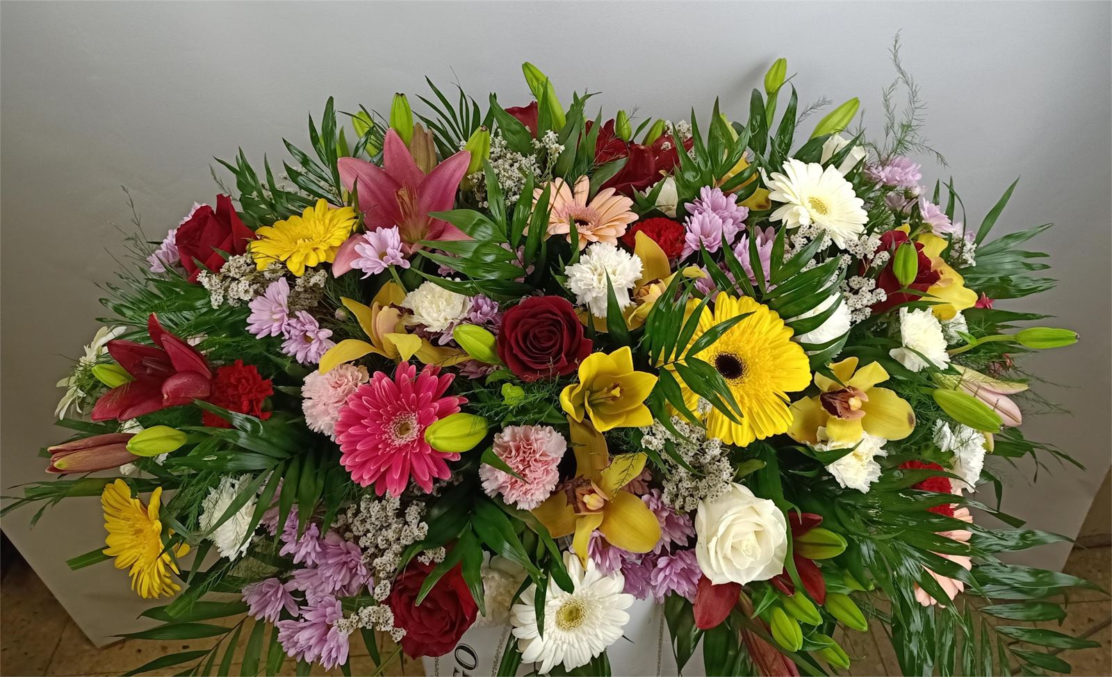 RAMO Nº11 - Imagen 1