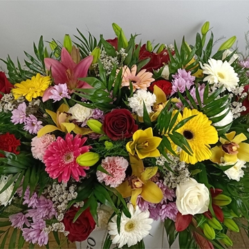 RAMO Nº11 - Imagen 1