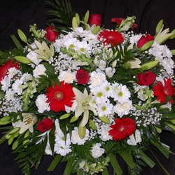 RAMO Nº12 - Imagen 1