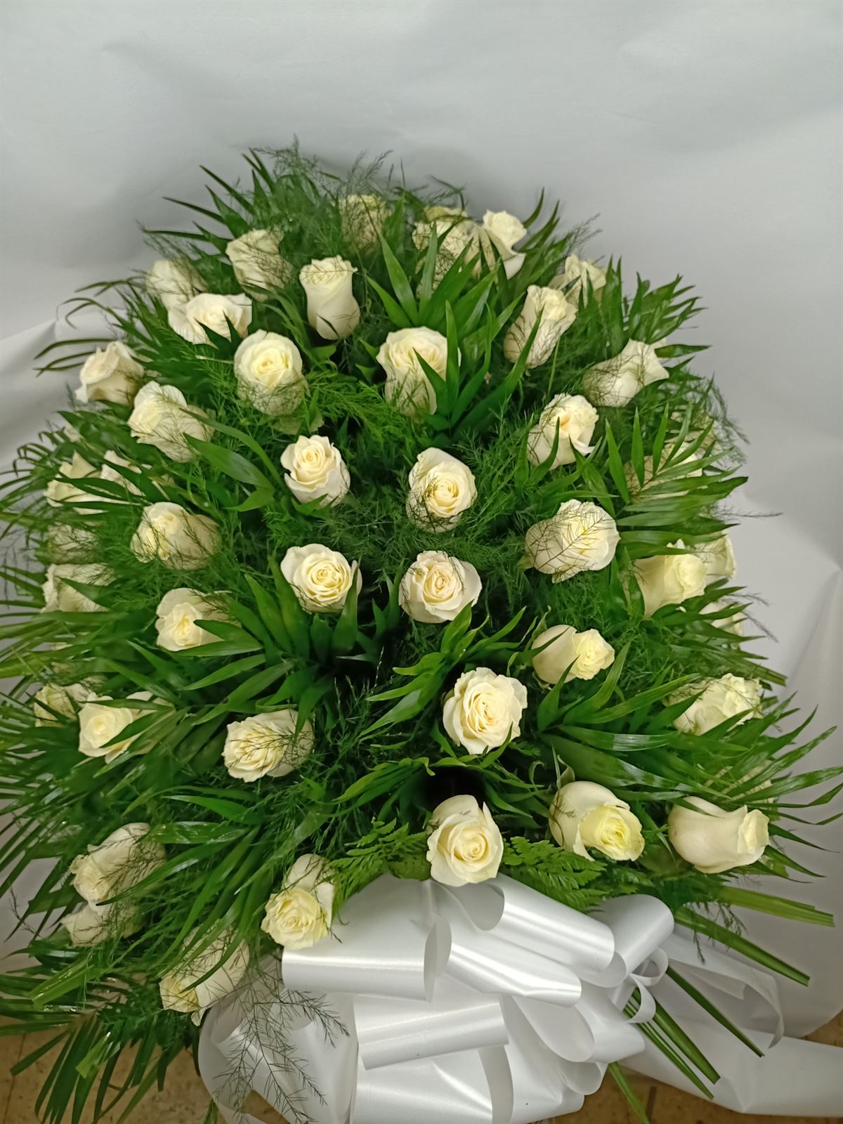 RAMO Nº2 - Imagen 1