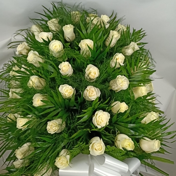 RAMO Nº2 - Imagen 1