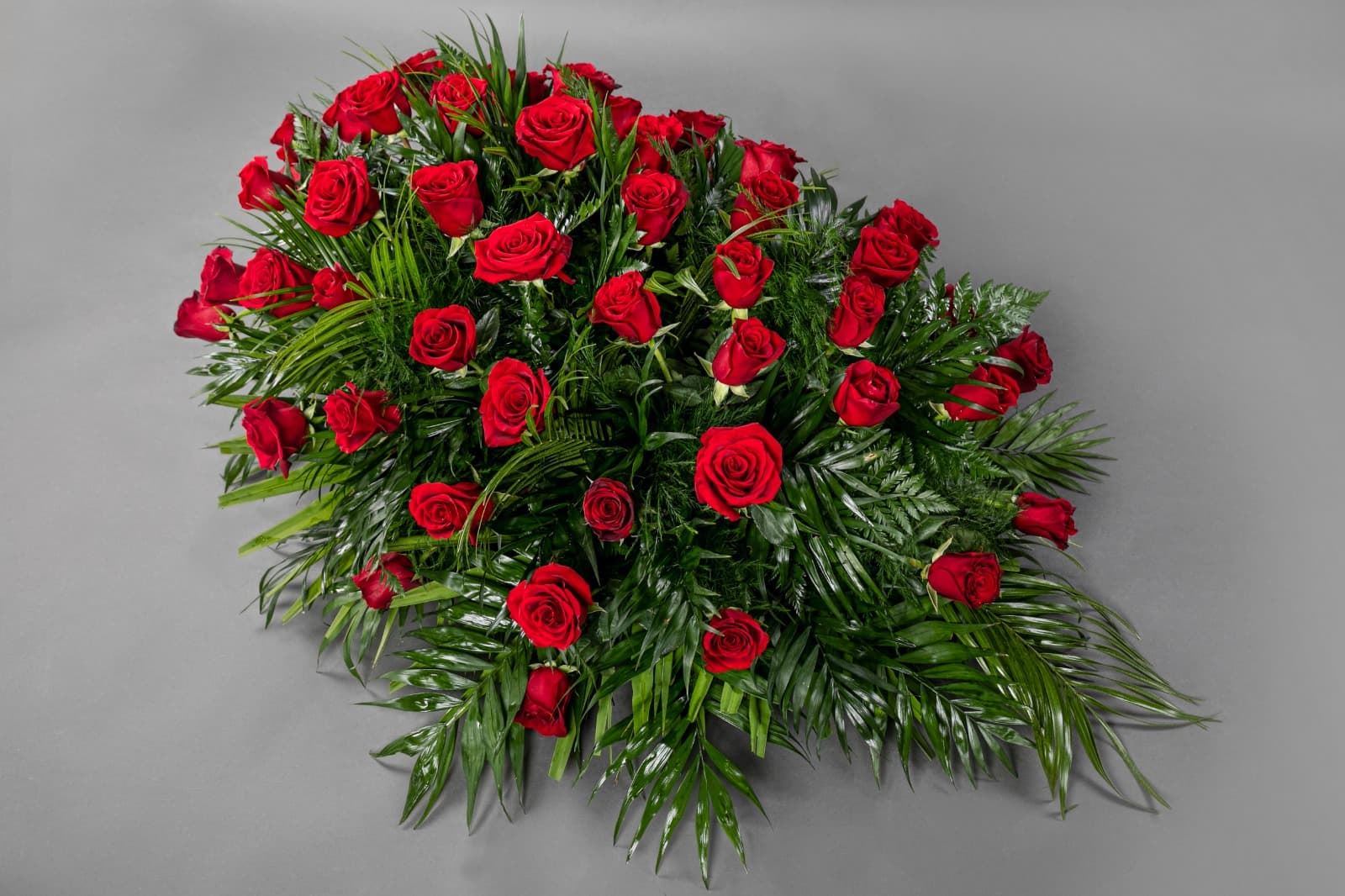 RAMO Nº3 - Imagen 1