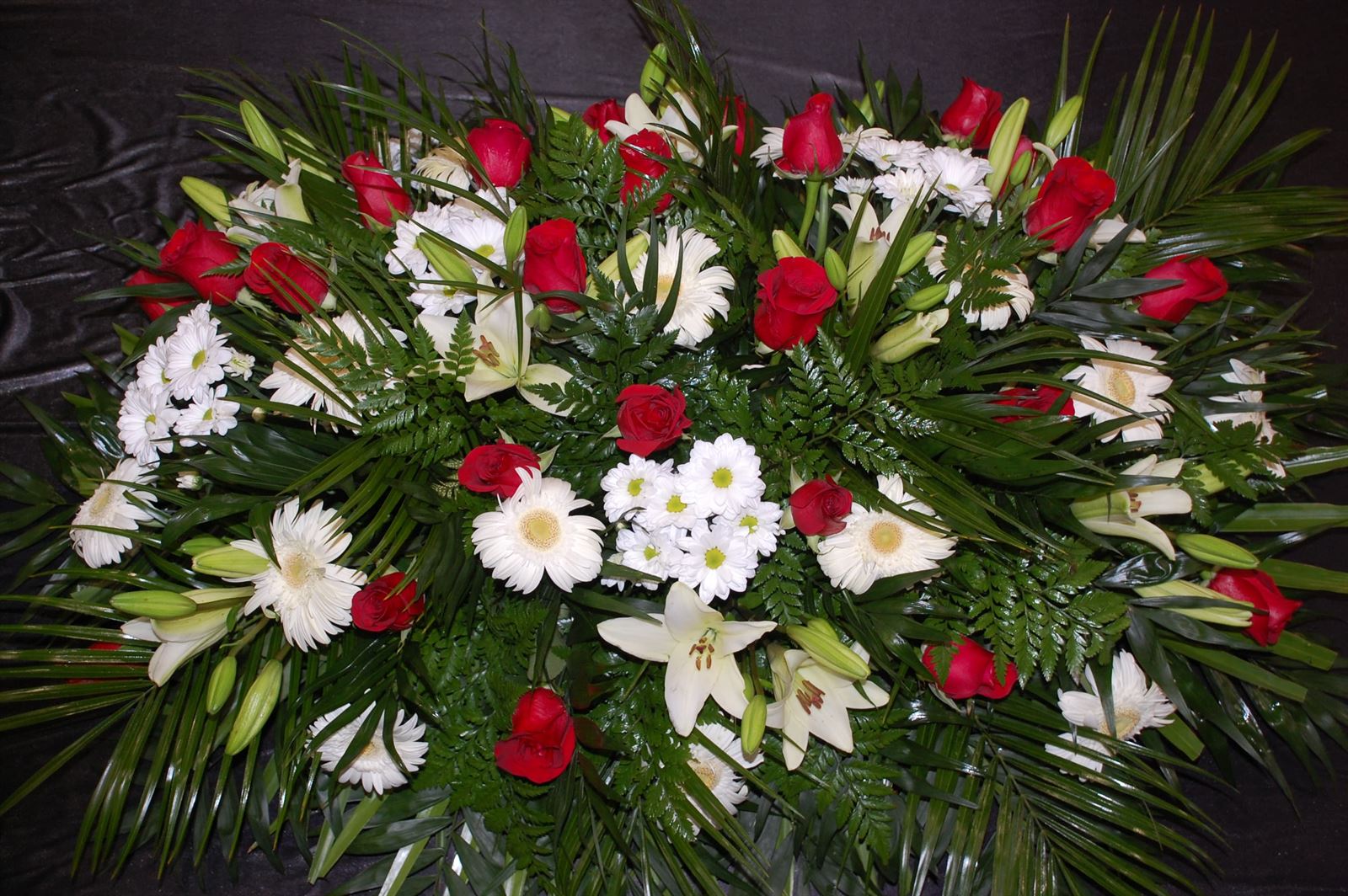 RAMO Nº4 - Imagen 1