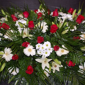 RAMO Nº4 - Imagen 1