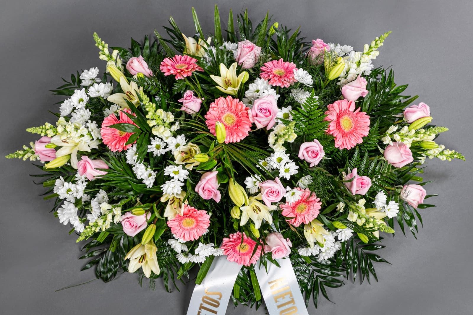 RAMO Nº5 - Imagen 1