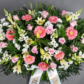 RAMO Nº5 - Imagen 1