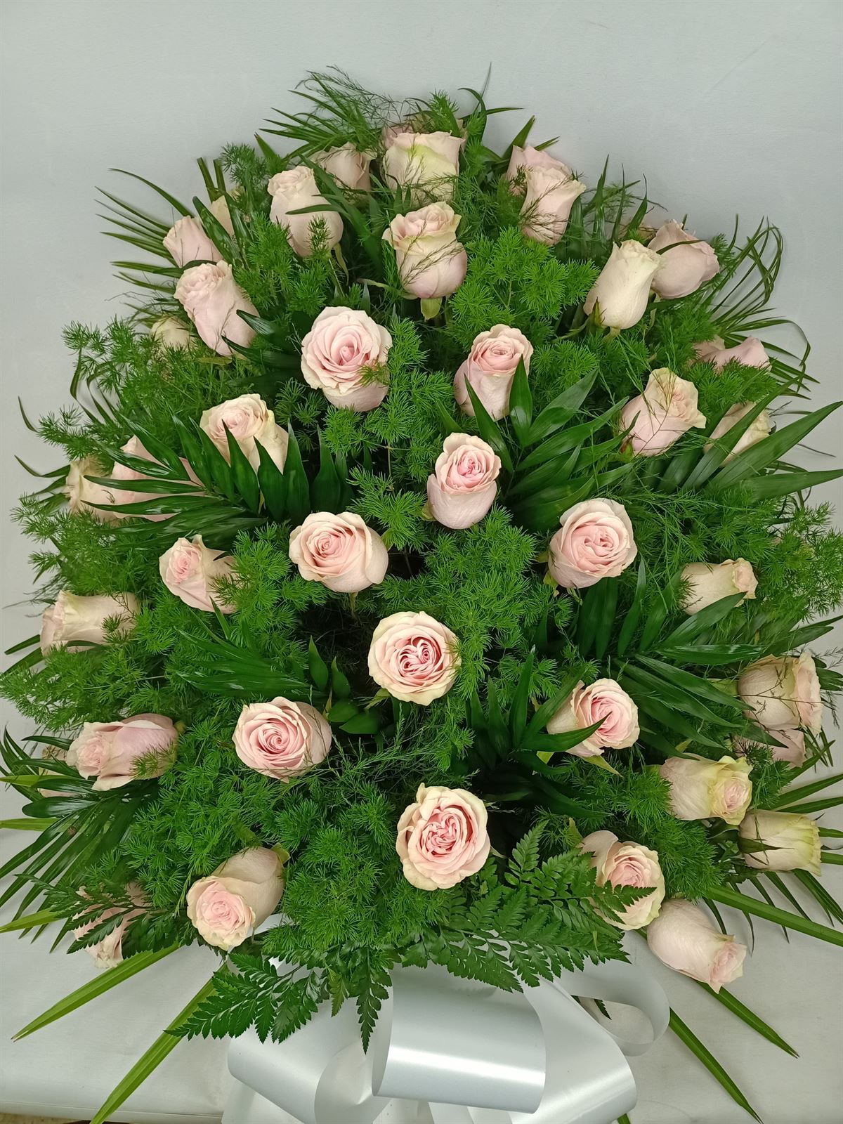 RAMO Nº6 - Imagen 1