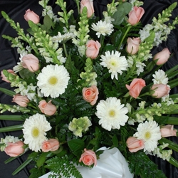 RAMO Nº7 - Imagen 1