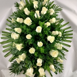 RAMO Nº8 - Imagen 1